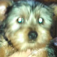 Sherry Julian Photo 5