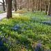 Constance Fields Photo 17