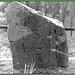 William Pinckney Photo 12