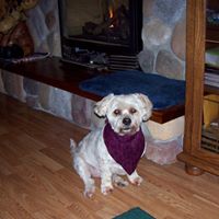 Suzy Olson Photo 6
