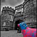 Janet Castle Photo 18