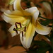 Mark Mazurek Photo 8