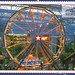 Robin Ferris Photo 14