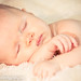 Daniel Reese Photo 20