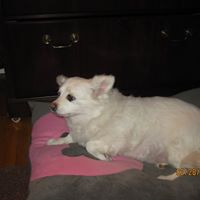 Theresa Rico Photo 16