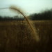 James Luckett Photo 38
