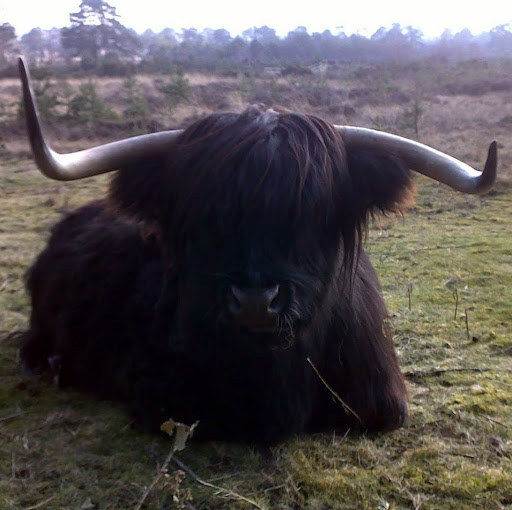 Iain Walsh Photo 3