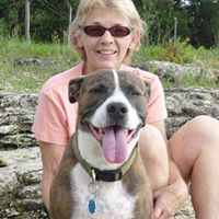 Susan Noland Photo 5