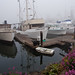 Susan Fish Photo 36