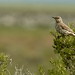 Barbara Thrasher Photo 23