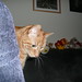 James Coon Photo 30