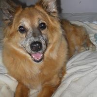 Nancy Moen Photo 10