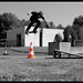 Ollie Thomas Photo 42