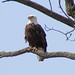 Catherine Eagles Photo 5