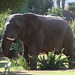 Elizabeth Bull Photo 12