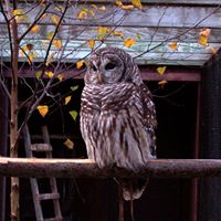 Donna Baxter Photo 19