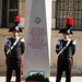 Domenico Macri Photo 8