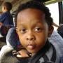 Terry Stover Photo 14