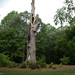Parks Cornelius Photo 1