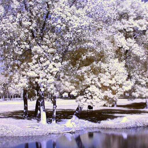 Allison Snow Photo 17