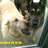 Terri Honeycutt Photo 7