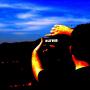 Steve Ellis Photo 7