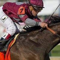 John Gilpatrick Photo 6
