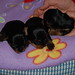 Cindy Beatty Photo 20