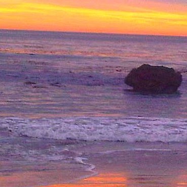 Linda Putnam Photo 8