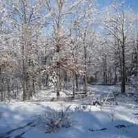 Dennis Larson Photo 11