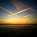 Dawn Laird Photo 11