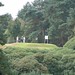 David Creamer Photo 17