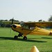 Connie Land Photo 26