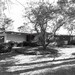 Dow Roberts Photo 11