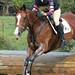 Ginny Howe Photo 8