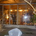 Robin Walsh Photo 4