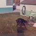 Gregory Duke Photo 7