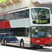 Dennis Shin Photo 13