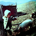 Anne Albright Photo 36