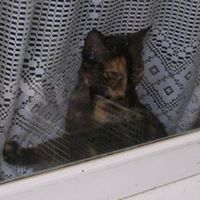 Beth Doherty Photo 11