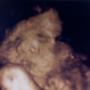 Nicholas Atkins Photo 16