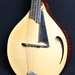 Lawrence Smart Photo 10