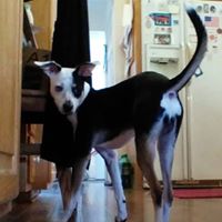 Paula Hendricks Photo 19