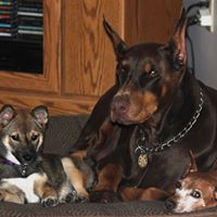 Karen Todd Photo 29