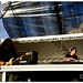 Stephen Franks Photo 38