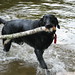 Kristy Sherman Photo 17