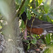 Juanita Young Photo 12