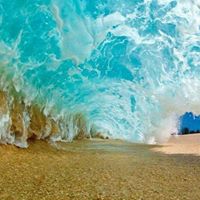 Lloyd Ellis Photo 33