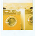Virginia Rowe Photo 34