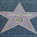 George Walk Photo 4